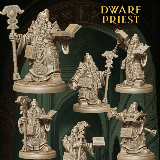 Army of Dwarf Sorcerer - 12 Poses | Arcane Dwarf Miniatures | DnD Spellcaster Wargaming Set - Plague Miniatures