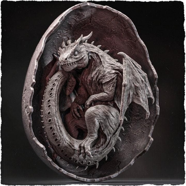 Baby Dragon in Egg Statue | Adorable Fantasy Display Piece Nerdy Decor - Plague Miniatures