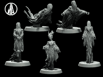 Banshee Miniature - 5 Poses - 28mm scale Tabletop gaming DnD Miniature Dungeons and Dragons,dnd 5e - Plague Miniatures shop for DnD Miniatures