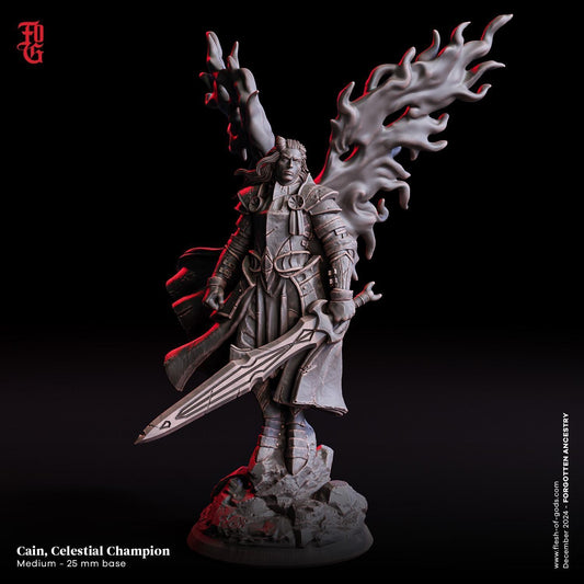 Cain, Celestial Champion Miniature | Aasimar Paladin Spellcaster Figurine | 32mm Scale - Plague Miniatures