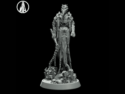 DnD Plagued Wraith Miniature - 3 Poses - 28mm scale Tabletop gaming DnD Miniature Dungeons and Dragons,dnd 5e - Plague Miniatures