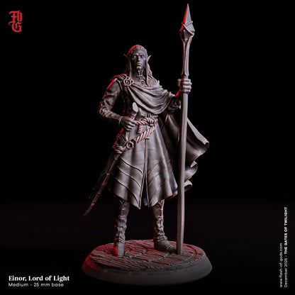 Einor, The Lord of Light Miniature | Elf Warrior Fighter Elven Figurine | 32mm Scale or 75mm Scale - Plague Miniatures