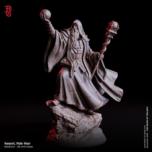DnD Wizard Miniature Pale Star Miniature War Weaver Magic Arcane Spellcaster | 32mm Scale 75mm Scale | DnD Dungeons and Dragons DnD 5e class