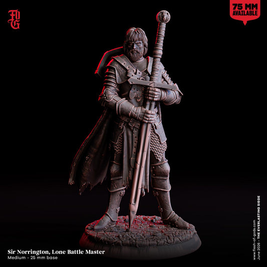 Lone Battle Master Miniature Human Fighter Figurine Warrior NPC | 32mm Scale or 75mm Scale | Dungeons and Dragons DnD 5e