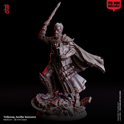 Scribe Sorcerer Resin Bust Statue Human Wizard Figurine Arcane Spellcaster Scholar NPC | 32mm Scale 75mm Scale Dungeons and Dragons DnD 5e