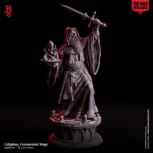 Ceremonial Mage Miniature Male Human Wizard Figurine Spellcaster NPC | 32mm Scale 75mm Scale | Dungeons and Dragons DnD 5e Dungeon Master