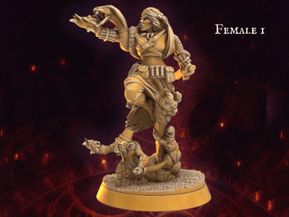 Male Human DnD Pirate miniature - 32mm scale Tabletop gaming DnD Miniature Dungeons and Dragons, wargaming dnd pirate figurine - Plague Miniatures