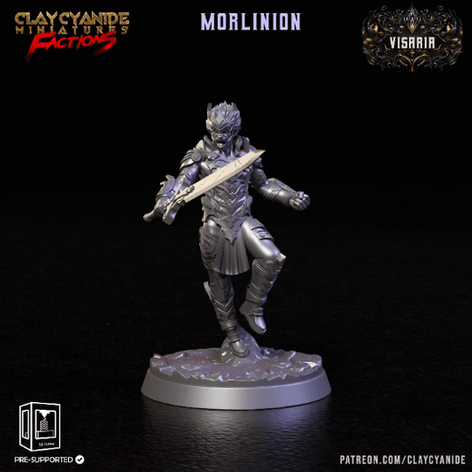 Morlinion Viseria's Noble Warrior Miniature | 32mm Scale - Plague Miniatures shop for DnD Miniatures
