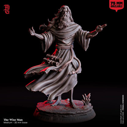 Wise Man Miniature | Male Human Scholar Sage NPC Figurine | 32mm Scale or 75mm Scale - Plague Miniatures