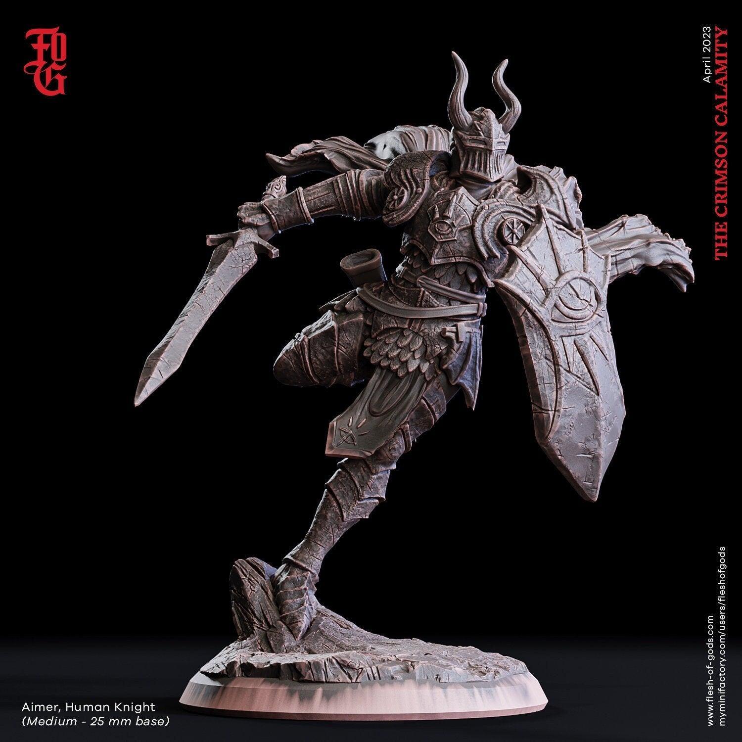 Aimer, Human Knight Miniature | Noble Defender in DnD Adventures | 32m ...
