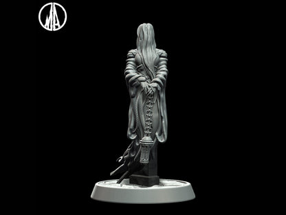 Banshee Miniature - 5 Poses - 28mm scale Tabletop gaming DnD Miniature Dungeons and Dragons,dnd 5e - Plague Miniatures