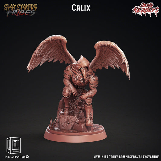 Calix Aarakocra Miniature | Avian Warrior for Tabletop RPGs | 32mm Scale - Plague Miniatures