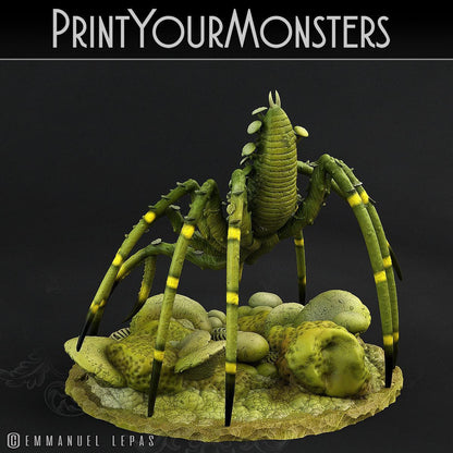 Dancing Toadstool Spider Miniature | Tabletop gaming | DnD Miniature | Dungeons and Dragons, DnD 5e monster miniature arachnid faerun - Plague Miniatures