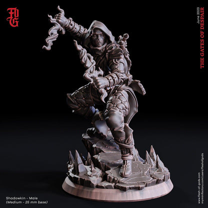 DnD Female Shadowkin Miniature | Rogue for Tabletop Gaming | 32mm Scale - Plague Miniatures