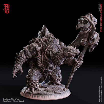 Drukosz, the Wise Miniature | Tortle Druid for DnD Encounters | 32mm Scale - Plague Miniatures