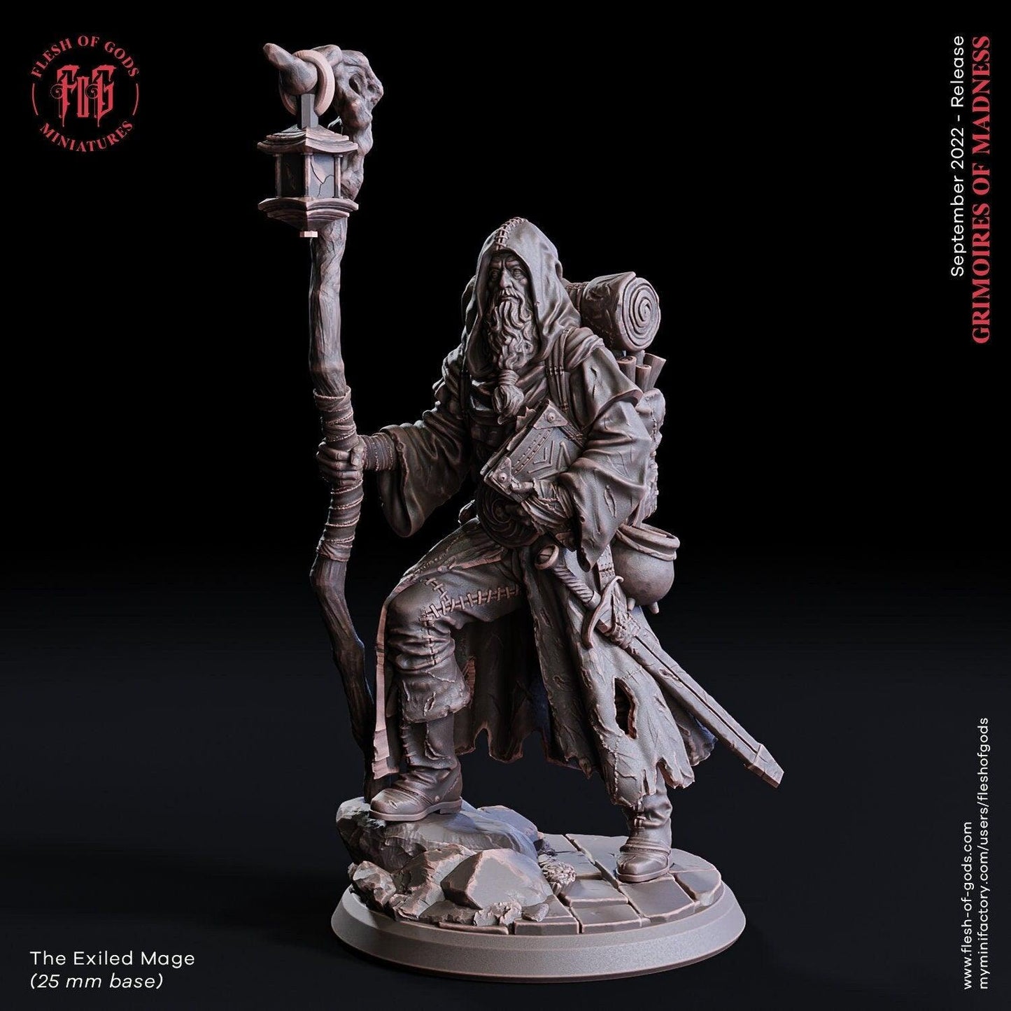 Exiled Mage Miniature | Mysterious Traveler NPC Figurine for DnD Adventures | 32mm Scale - Plague Miniatures