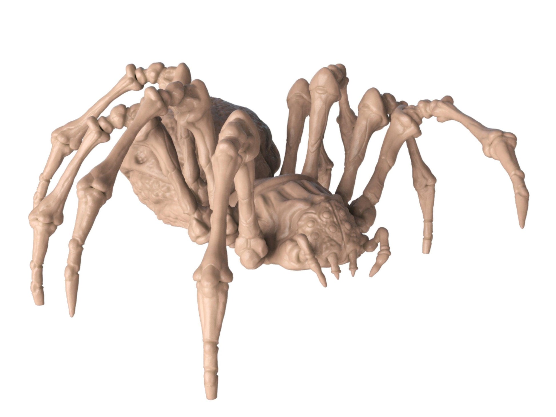 Giant Spider Miniature - 4 Poses - 32mm scale Tabletop gaming DnD Miniature Dungeons and Dragons,dnd monster manual - Plague Miniatures shop for DnD Miniatures