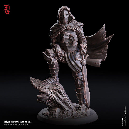 High Order Assassin Miniature | Shadow's Silent Executioner | 32mm Scale - Plague Miniatures