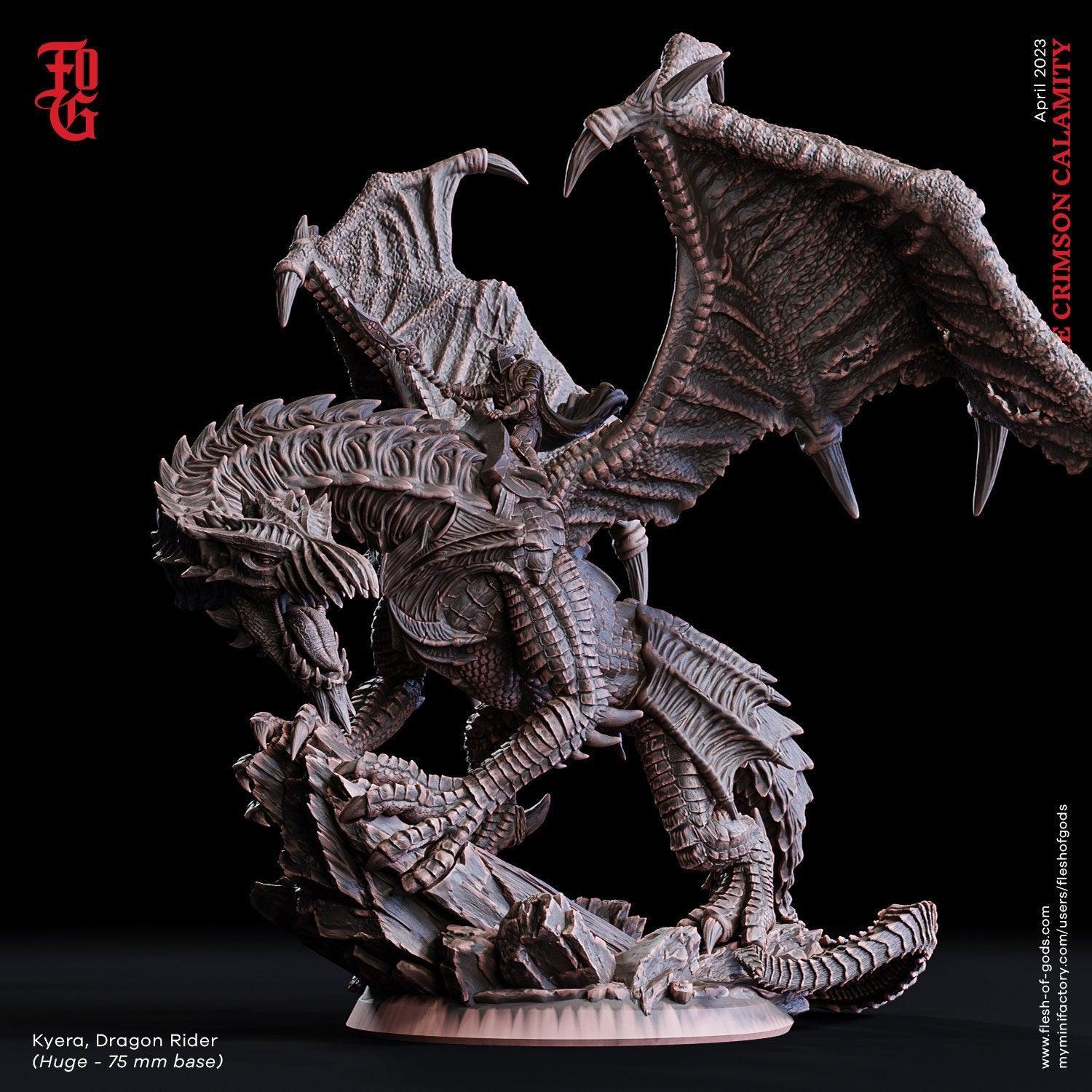 Kyera, Dragon Rider Miniature | Majestic Soarer in DnD Skies | 75mm Sc ...