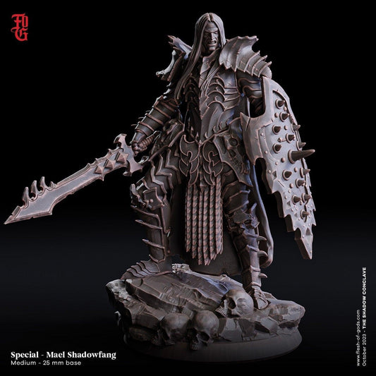 Mael, Shadowfang Miniature | A Fierce Slayer of Demons, Male Warrior for DnD 5e | 32mm Scale - Plague Miniatures