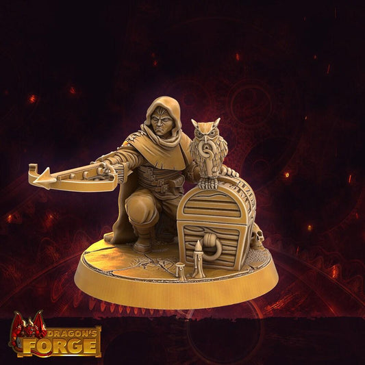 Male Rogue Miniature w/ owl treasure - 6 Poses - 32mm scale Tabletop gaming DnD Miniature Dungeons and Dragons, wargaming dnd rogue figurine - Plague Miniatures