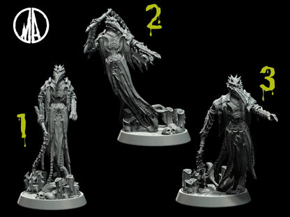 Plagued Wraith Miniature - 3 Poses - 28mm scale Tabletop gaming DnD Miniature Dungeons and Dragons, ttrpg dnd 5e - Plague Miniatures shop for DnD Miniatures