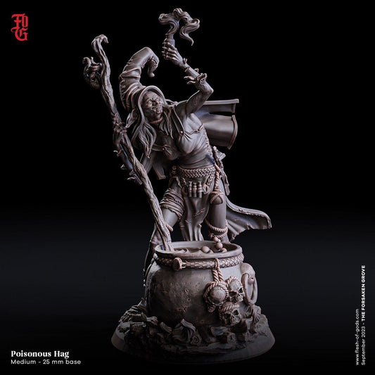 DnD Hag Poisonous Hag Miniature Fey Witch Monster Miniature | 25mm Base 32mm Scale 75mm Scale | DnD Miniature Dungeons and Dragons DnD 5e - Plague Miniatures shop for DnD Miniatures