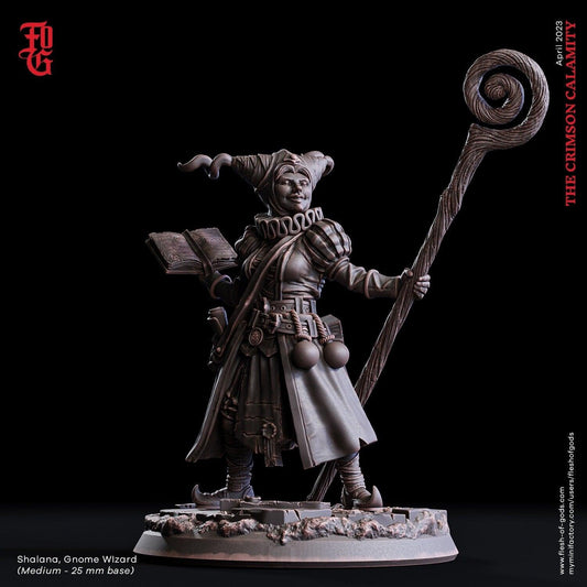 Female Gnome Wizard DnD Spellcaster Sorceress Mage Witch | 25mm Base 75mm Scale and Bust | DnD Miniature Dungeons and Dragons DnD 5e class - Plague Miniatures shop for DnD Miniatures