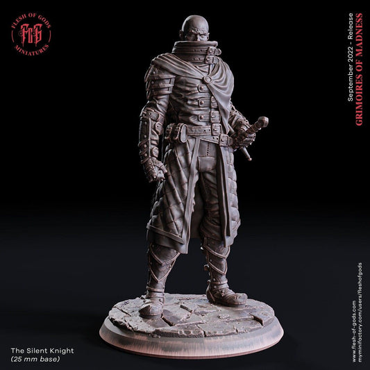 Silent Knight Miniature | Mysterious Warrior for Dungeons and Dragons | 32mm Scale - Plague Miniatures