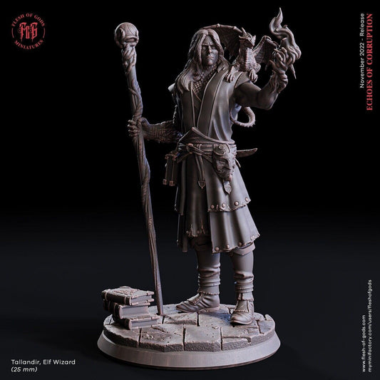 Talandir Elf Wizard Miniature | Enchanting Elf and Dragon Companion | 32mm Scale - Plague Miniatures