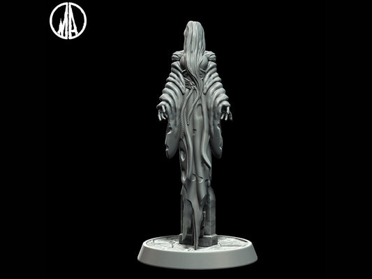 Undead miniature Ghost Miniature Banshee Miniature - 5 Poses - 28mm scale Tabletop gaming DnD Miniature Dungeons and Dragons dnd 5e - Plague Miniatures