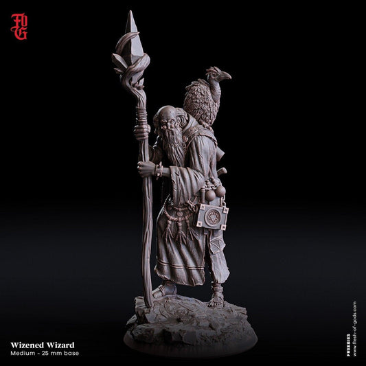 Wizened Wizard Miniature with Vulture Companion | Sage of Arcane Wisdom | 32mm Scale - Plague Miniatures